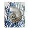 Stupell Industries Shell Coral Beach Blue Design Canvas Wall Art